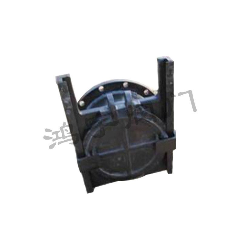 法兰式铸铁镶铜闸门